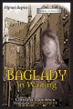 Baglady In Waiting Book Cover 72dpi RGB