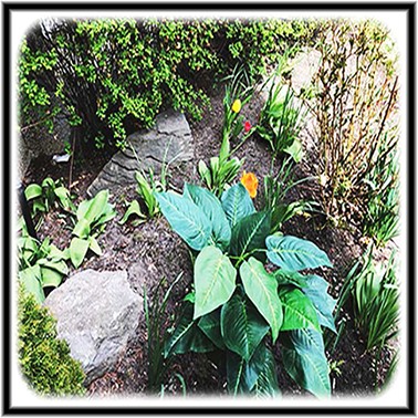 SpringflowersDistorted3.5X3.5border